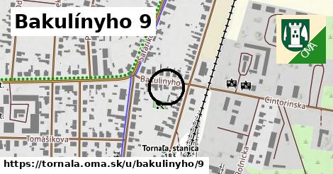 Bakulínyho 9, Tornaľa