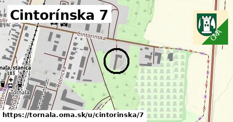 Cintorínska 7, Tornaľa