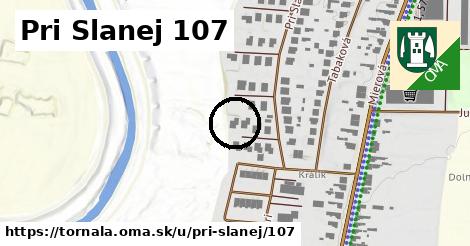 Pri Slanej 107, Tornaľa