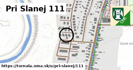 Pri Slanej 111, Tornaľa