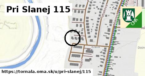 Pri Slanej 115, Tornaľa