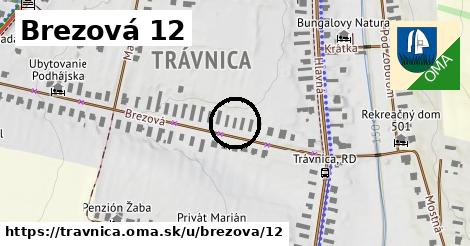 Brezová 12, Trávnica