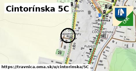 Cintorínska 5C, Trávnica