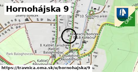 Hornohájska 9, Trávnica