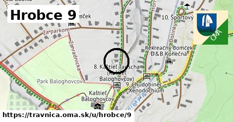 Hrobce 9, Trávnica