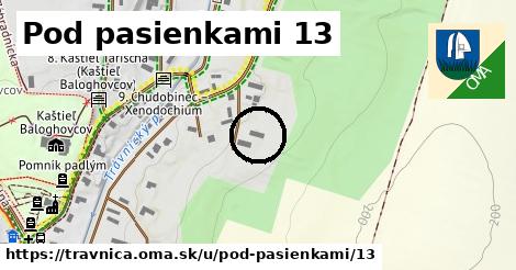 Pod pasienkami 13, Trávnica