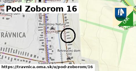 Pod Zoborom 16, Trávnica