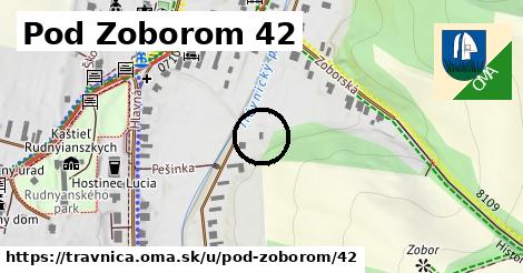 Pod Zoborom 42, Trávnica