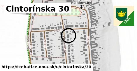 Cintorínska 30, Trebatice