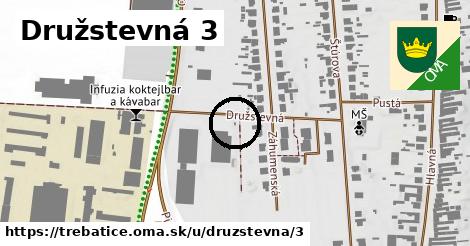 Družstevná 3, Trebatice