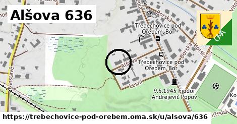 Alšova 636, Třebechovice pod Orebem