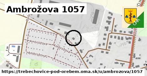 Ambrožova 1057, Třebechovice pod Orebem