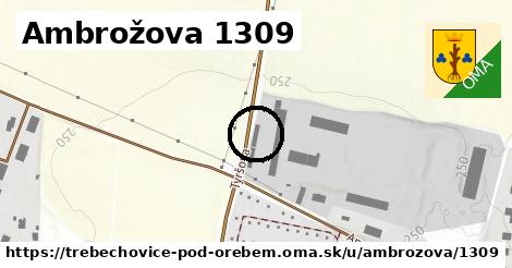 Ambrožova 1309, Třebechovice pod Orebem