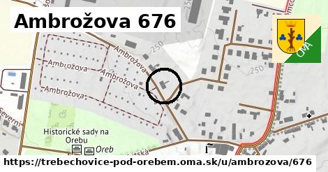 Ambrožova 676, Třebechovice pod Orebem
