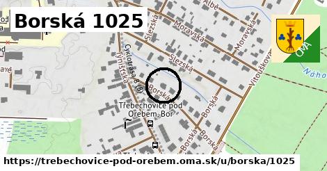 Borská 1025, Třebechovice pod Orebem