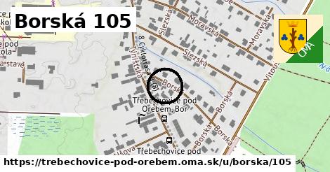 Borská 105, Třebechovice pod Orebem