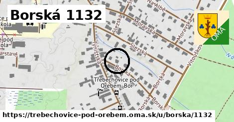 Borská 1132, Třebechovice pod Orebem