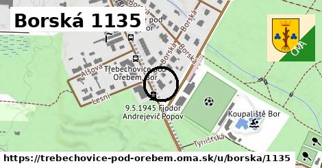 Borská 1135, Třebechovice pod Orebem