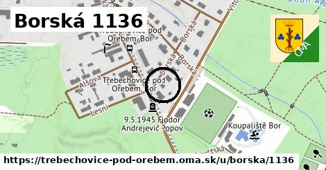 Borská 1136, Třebechovice pod Orebem