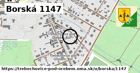 Borská 1147, Třebechovice pod Orebem