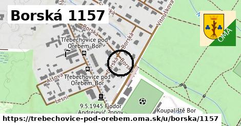 Borská 1157, Třebechovice pod Orebem