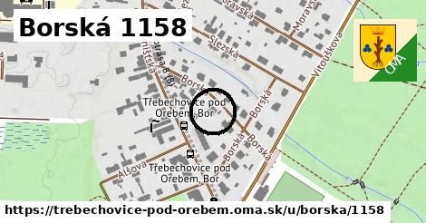 Borská 1158, Třebechovice pod Orebem