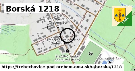 Borská 1218, Třebechovice pod Orebem