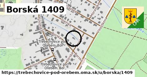 Borská 1409, Třebechovice pod Orebem