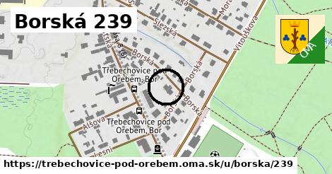 Borská 239, Třebechovice pod Orebem