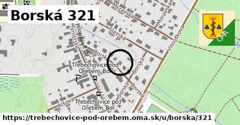 Borská 321, Třebechovice pod Orebem