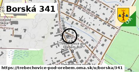 Borská 341, Třebechovice pod Orebem