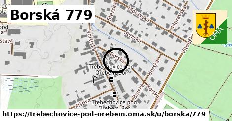Borská 779, Třebechovice pod Orebem