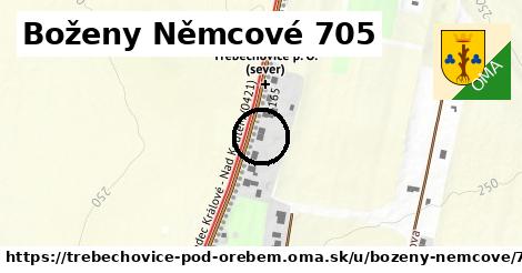 Boženy Němcové 705, Třebechovice pod Orebem