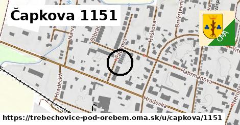 Čapkova 1151, Třebechovice pod Orebem