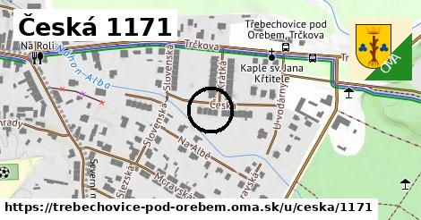 Česká 1171, Třebechovice pod Orebem