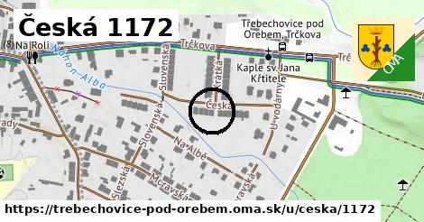 Česká 1172, Třebechovice pod Orebem