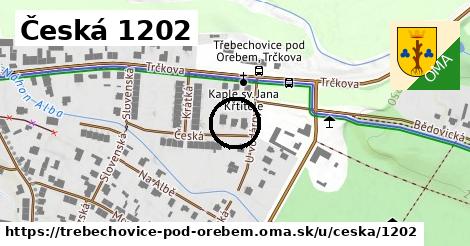 Česká 1202, Třebechovice pod Orebem
