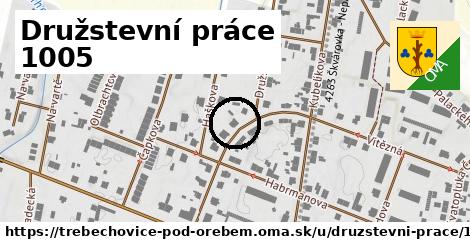 Družstevní práce 1005, Třebechovice pod Orebem