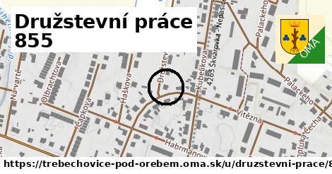 Družstevní práce 855, Třebechovice pod Orebem