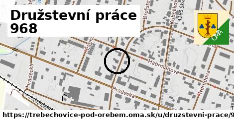 Družstevní práce 968, Třebechovice pod Orebem