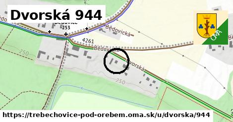 Dvorská 944, Třebechovice pod Orebem