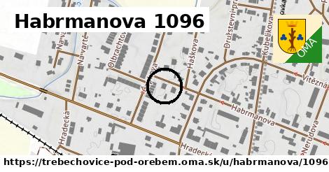 Habrmanova 1096, Třebechovice pod Orebem