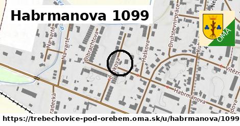 Habrmanova 1099, Třebechovice pod Orebem