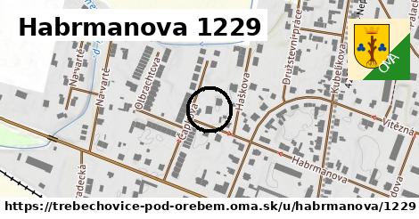 Habrmanova 1229, Třebechovice pod Orebem