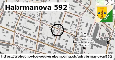 Habrmanova 592, Třebechovice pod Orebem