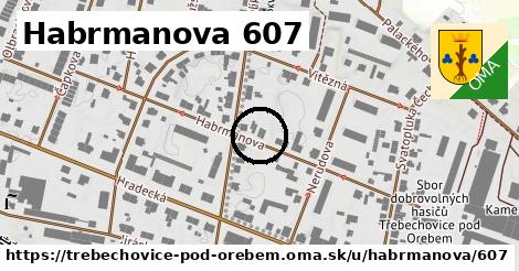 Habrmanova 607, Třebechovice pod Orebem