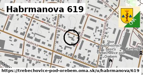 Habrmanova 619, Třebechovice pod Orebem