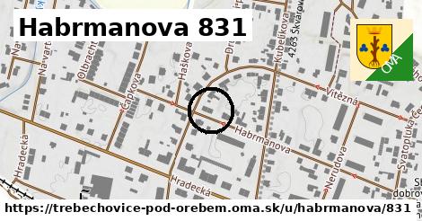 Habrmanova 831, Třebechovice pod Orebem