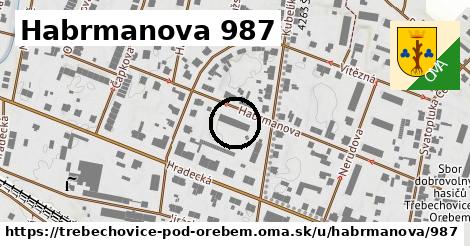 Habrmanova 987, Třebechovice pod Orebem