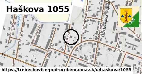 Haškova 1055, Třebechovice pod Orebem